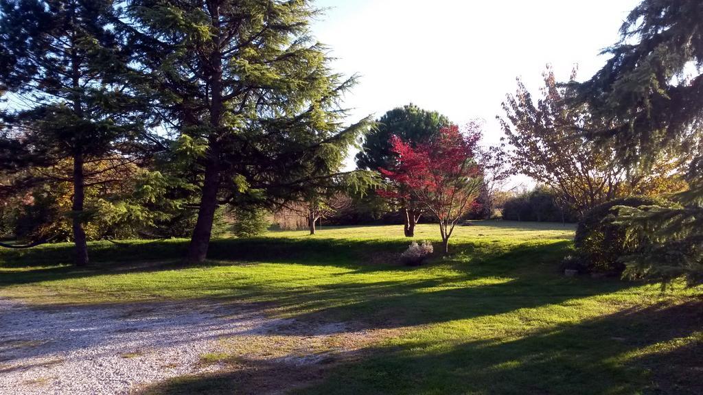 Al Campo Di Sotto Bed & Breakfast Buia Luaran gambar
